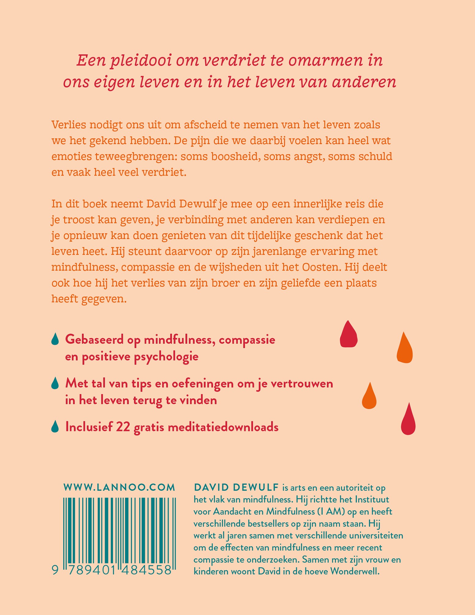 Anders Omgaan Met Verdriet | Boek | David Dewulf | Thema.nl